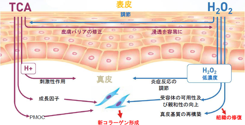 コラーゲンピールの成分